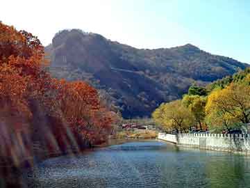 新澳天天彩免费资料大全查询，天津排水板